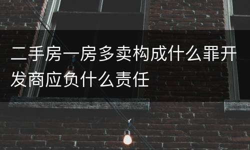 二手房一房多卖构成什么罪开发商应负什么责任