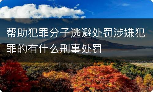 帮助犯罪分子逃避处罚涉嫌犯罪的有什么刑事处罚
