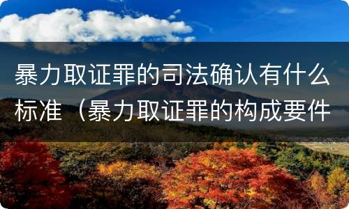 暴力取证罪的司法确认有什么标准（暴力取证罪的构成要件）