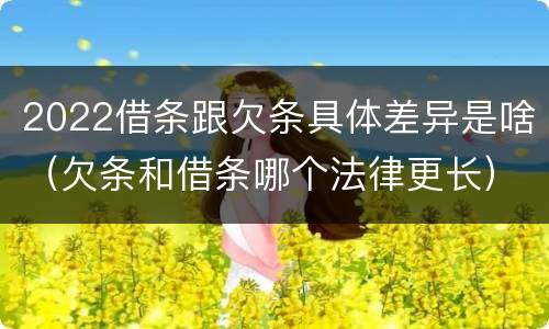 2022借条跟欠条具体差异是啥（欠条和借条哪个法律更长）