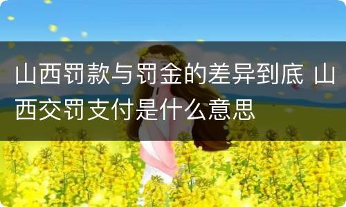 山西罚款与罚金的差异到底 山西交罚支付是什么意思
