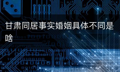 甘肃同居事实婚姻具体不同是啥