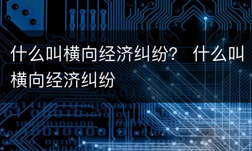 什么叫横向经济纠纷？ 什么叫横向经济纠纷