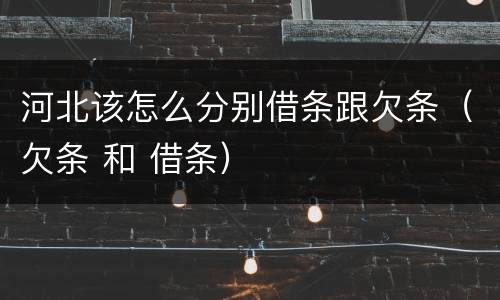 河北该怎么分别借条跟欠条（欠条 和 借条）