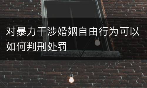 对暴力干涉婚姻自由行为可以如何判刑处罚