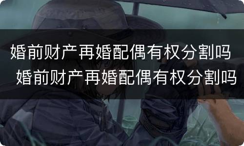 婚前财产再婚配偶有权分割吗 婚前财产再婚配偶有权分割吗