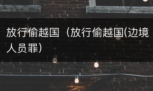 放行偷越国（放行偷越国(边境人员罪）