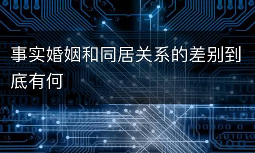 事实婚姻和同居关系的差别到底有何
