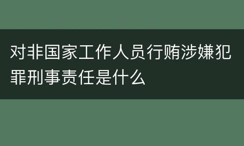 对非国家工作人员行贿涉嫌犯罪刑事责任是什么