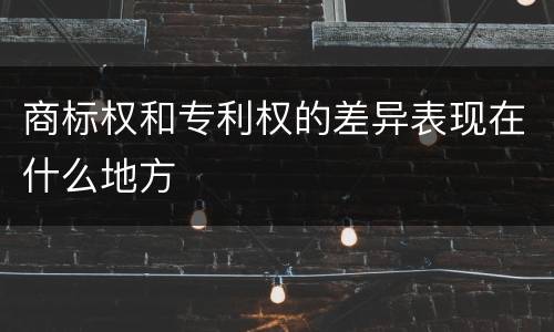商标权和专利权的差异表现在什么地方