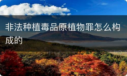 非法种植毒品原植物罪怎么构成的