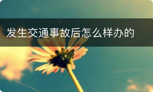 发生交通事故后怎么样办的