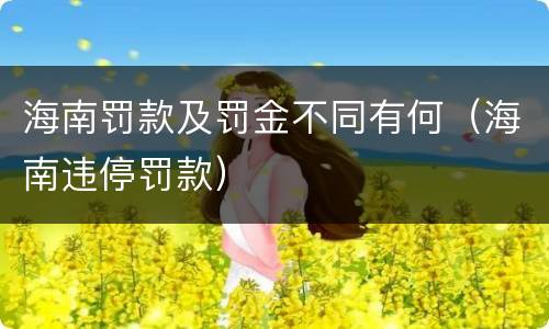 海南罚款及罚金不同有何（海南违停罚款）