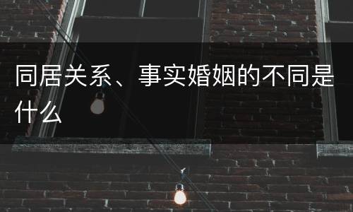 同居关系、事实婚姻的不同是什么
