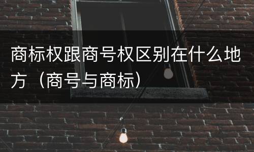 商标权跟商号权区别在什么地方（商号与商标）