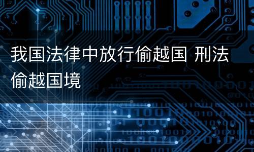 我国法律中放行偷越国 刑法 偷越国境