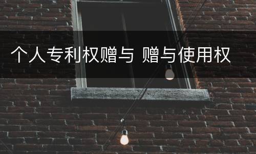 个人专利权赠与 赠与使用权