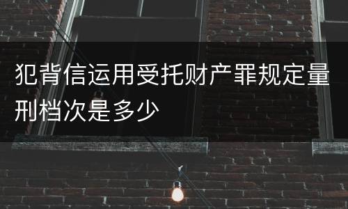 犯背信运用受托财产罪规定量刑档次是多少