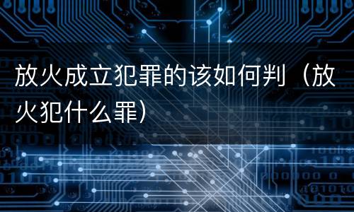 放火成立犯罪的该如何判（放火犯什么罪）