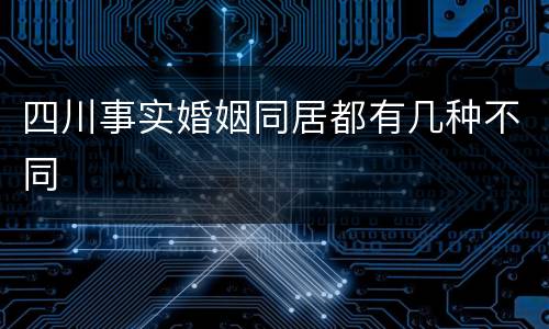四川事实婚姻同居都有几种不同