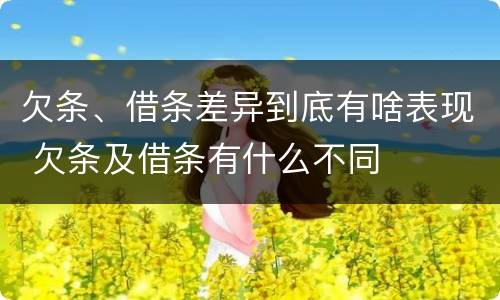 欠条、借条差异到底有啥表现 欠条及借条有什么不同