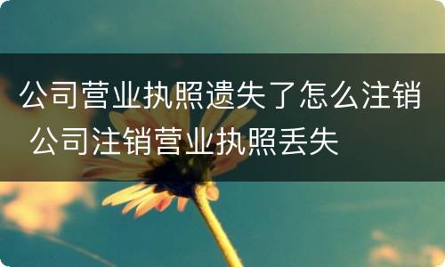 公司营业执照遗失了怎么注销 公司注销营业执照丢失