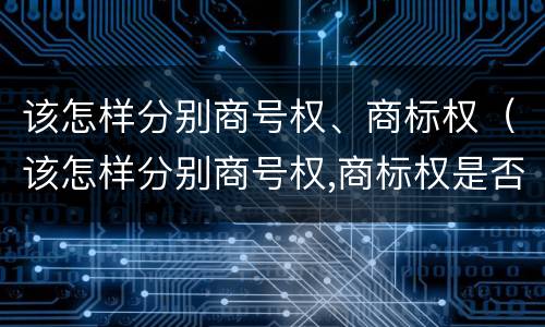 该怎样分别商号权、商标权（该怎样分别商号权,商标权是否正确）