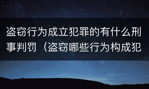 盗窃行为成立犯罪的有什么刑事判罚（盗窃哪些行为构成犯罪）