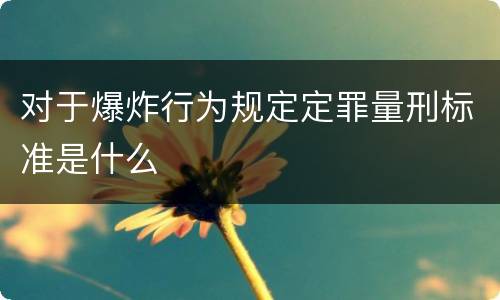 对于爆炸行为规定定罪量刑标准是什么