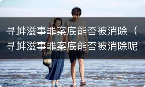 寻衅滋事罪案底能否被消除（寻衅滋事罪案底能否被消除呢）