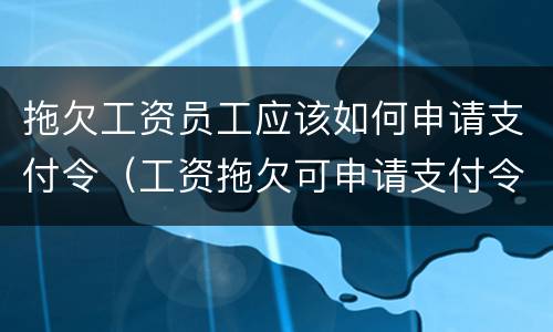 拖欠工资员工应该如何申请支付令（工资拖欠可申请支付令）