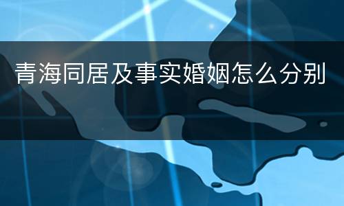 青海同居及事实婚姻怎么分别