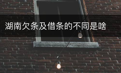湖南欠条及借条的不同是啥
