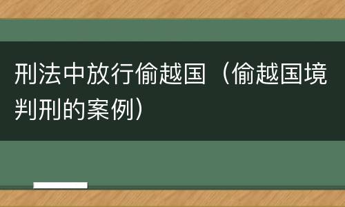 刑法中放行偷越国（偷越国境判刑的案例）