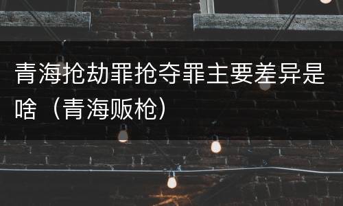 青海抢劫罪抢夺罪主要差异是啥（青海贩枪）