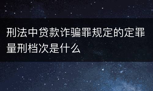 刑法中贷款诈骗罪规定的定罪量刑档次是什么