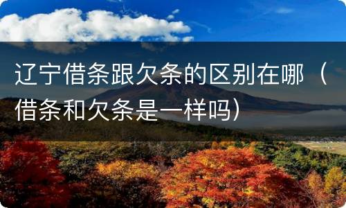 辽宁借条跟欠条的区别在哪（借条和欠条是一样吗）