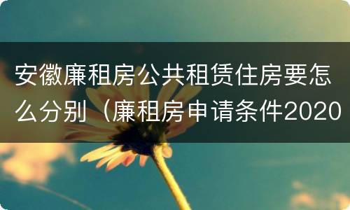 安徽廉租房公共租赁住房要怎么分别（廉租房申请条件2020安徽）