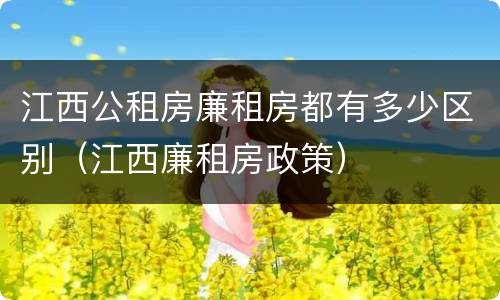 江西公租房廉租房都有多少区别（江西廉租房政策）