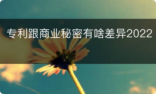 专利跟商业秘密有啥差异2022