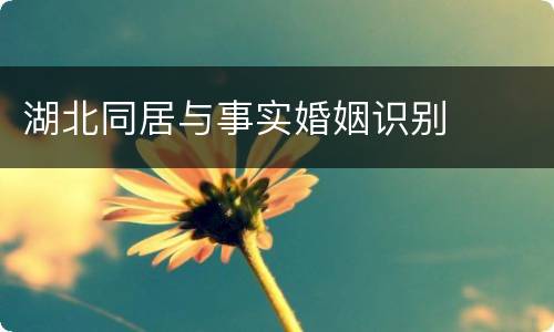 湖北同居与事实婚姻识别