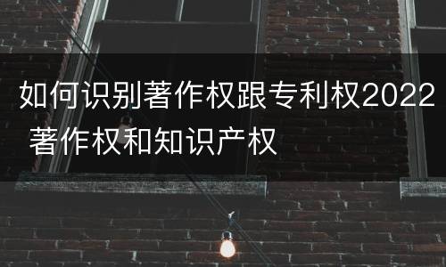 如何识别著作权跟专利权2022 著作权和知识产权