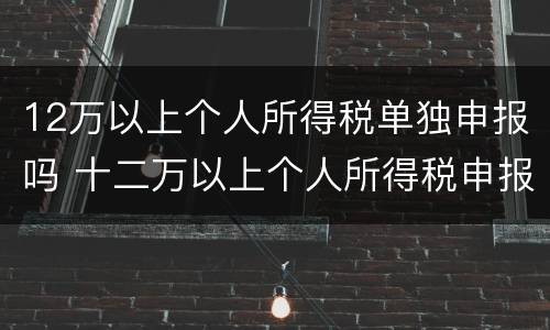 12万以上个人所得税单独申报吗 十二万以上个人所得税申报