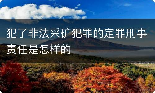 犯了非法采矿犯罪的定罪刑事责任是怎样的