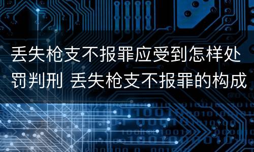 丢失枪支不报罪应受到怎样处罚判刑 丢失枪支不报罪的构成要件