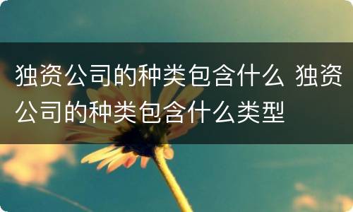 独资公司的种类包含什么 独资公司的种类包含什么类型