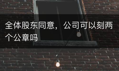 全体股东同意，公司可以刻两个公章吗