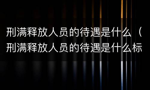 刑满释放人员的待遇是什么（刑满释放人员的待遇是什么标准）