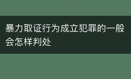 暴力取证行为成立犯罪的一般会怎样判处