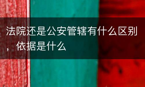 法院还是公安管辖有什么区别，依据是什么